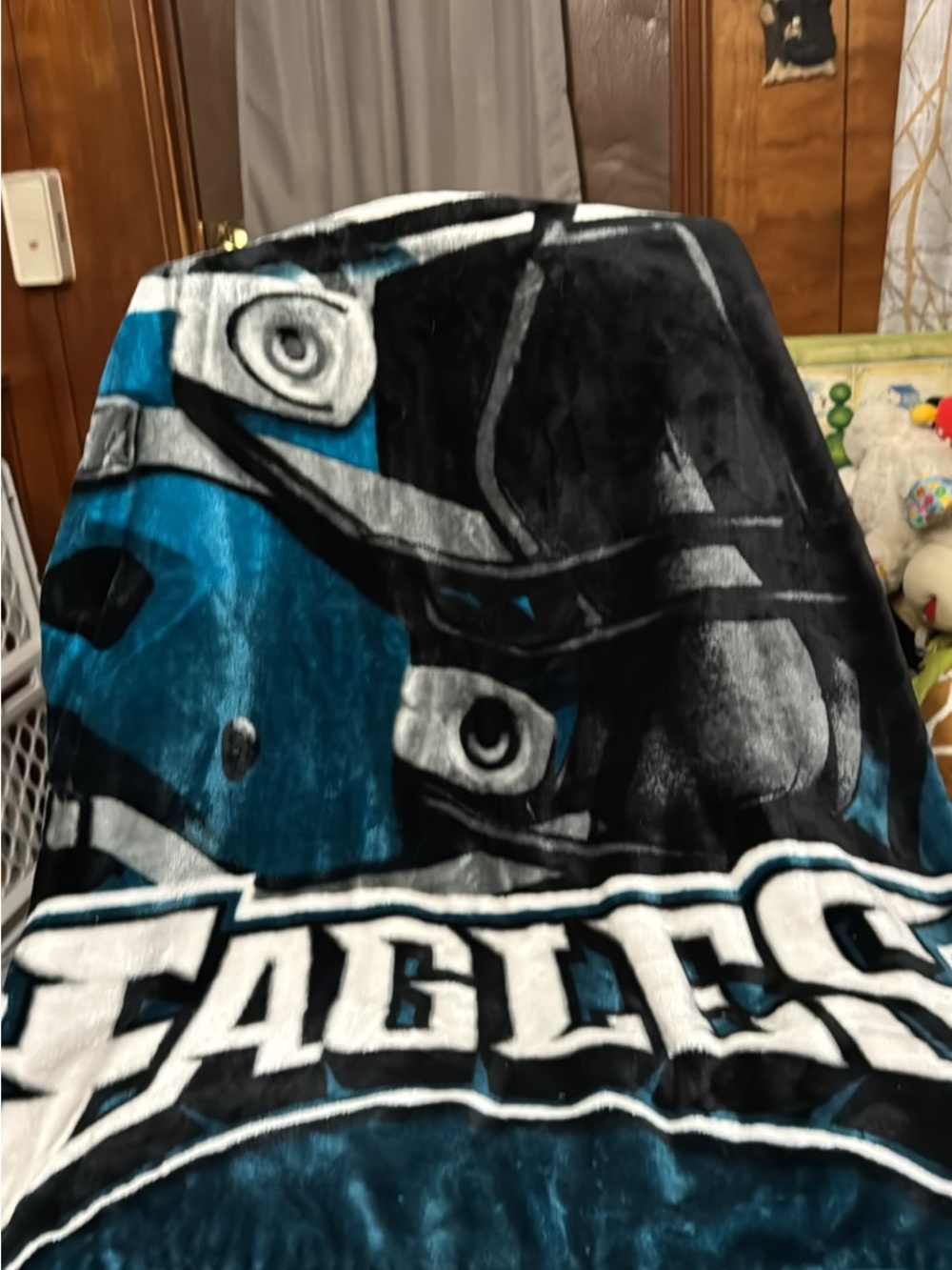 Eagles Plush Throw Blanket - Teal, Black & White